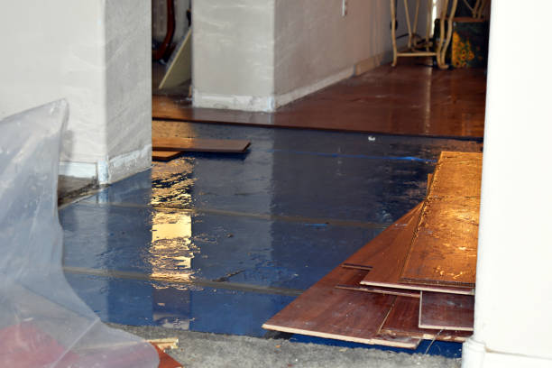 Professional Basement Flood Cleanup technician working in Lindsay, OK